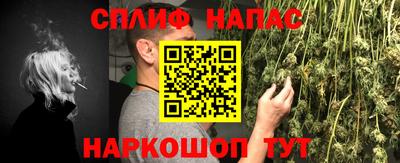 шишки Свободный