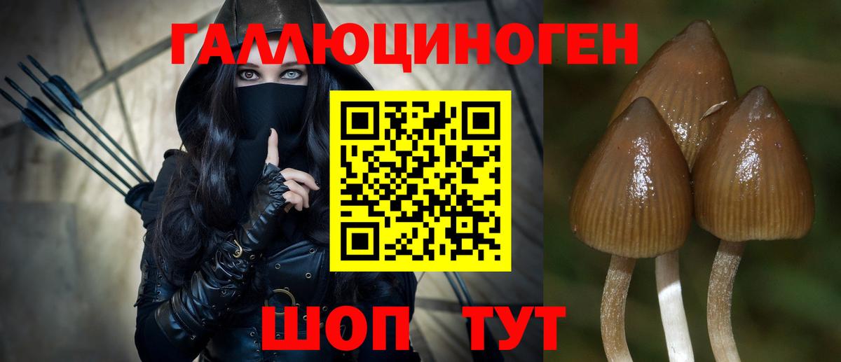 Оренбург  Псилоцибиновые грибы прущие грибы  Вход с VPN 